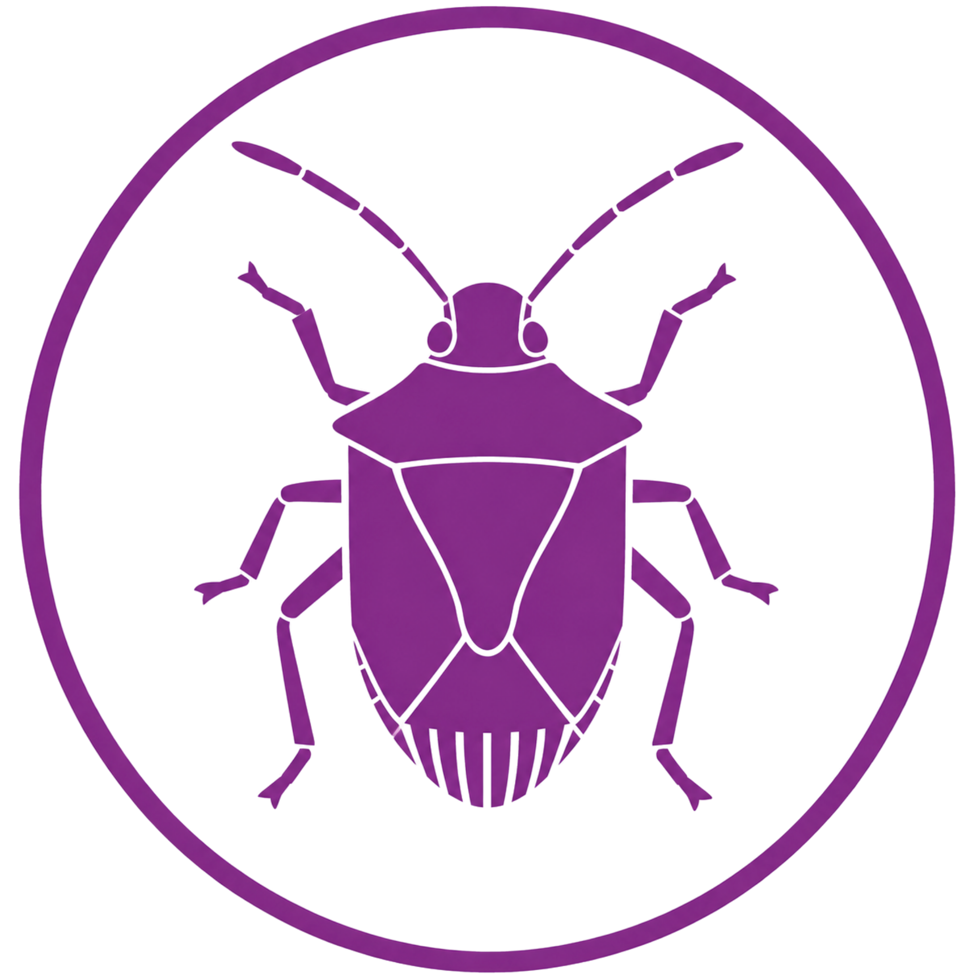 Brown marmorated stink bug