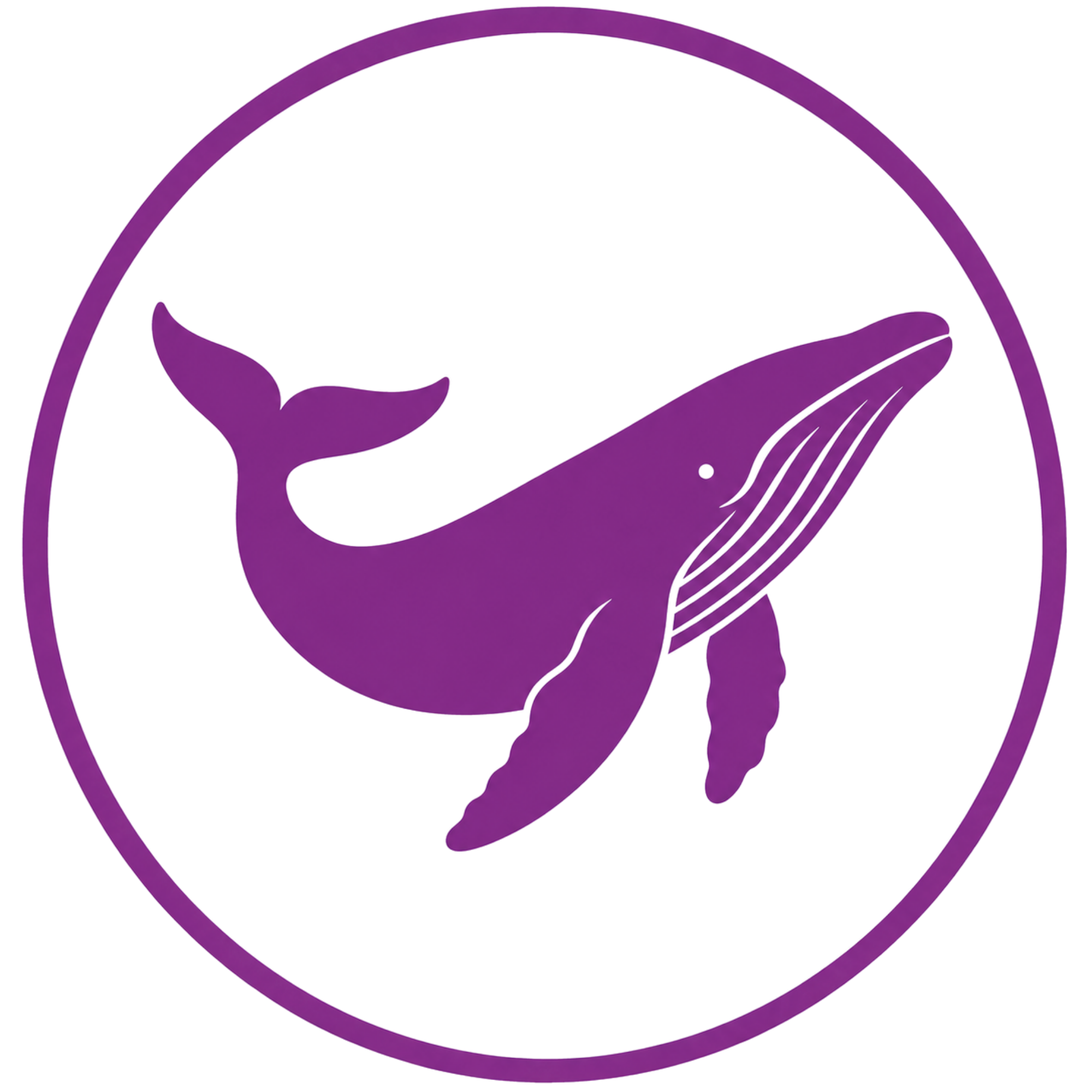 Humpback whale